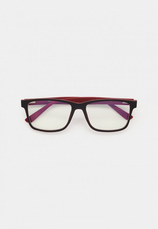 Очки для компьютера Lectio Risus