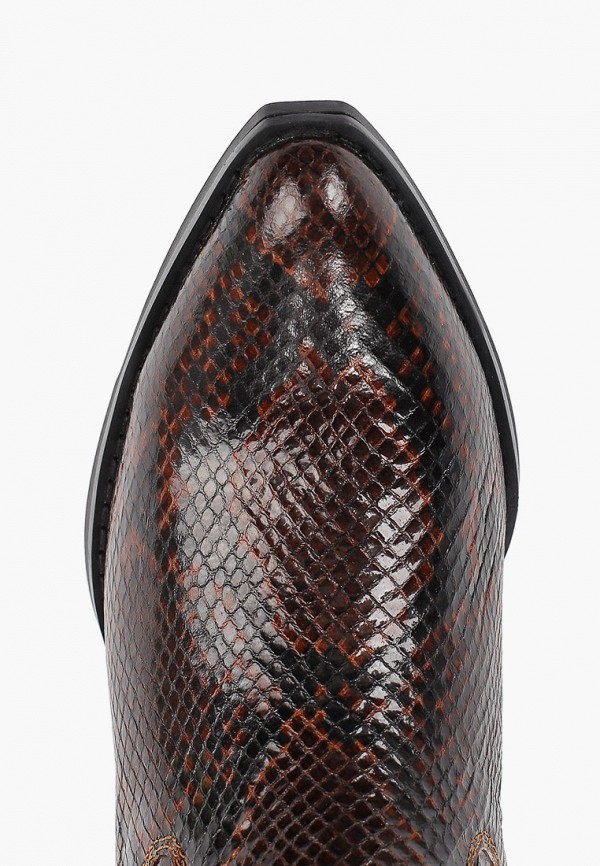 

Сапоги Tervolina, Коричневый, Jeffrey Campbell for TERVOLINA