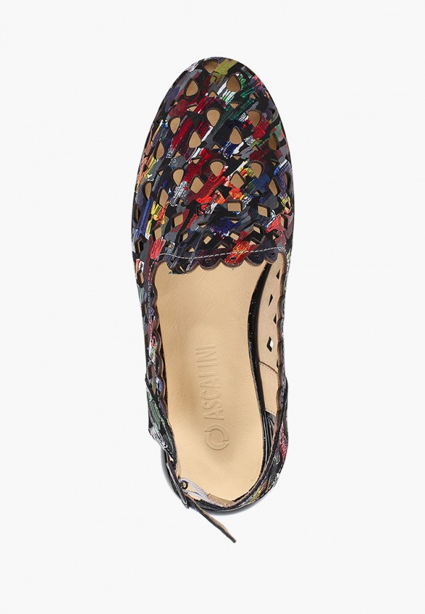 фото Туфли ascalini