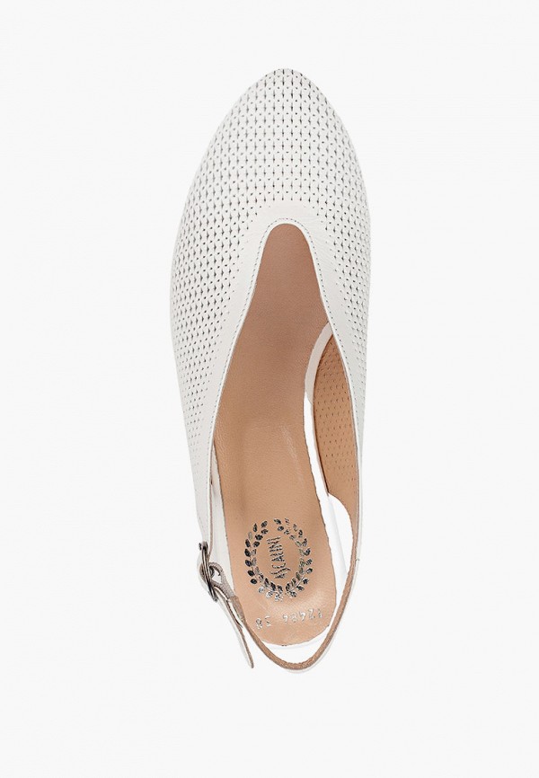 фото Туфли ascalini