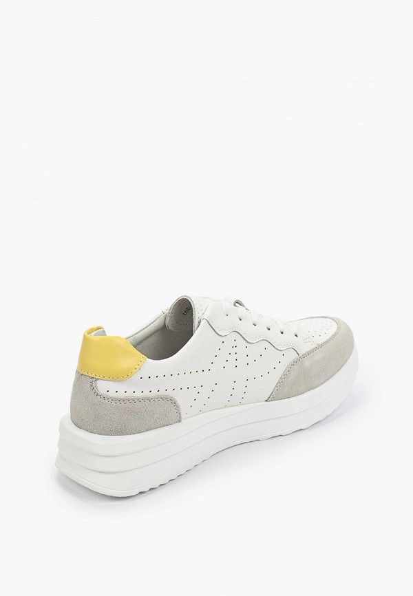 фото Кеды kraus shoes collection