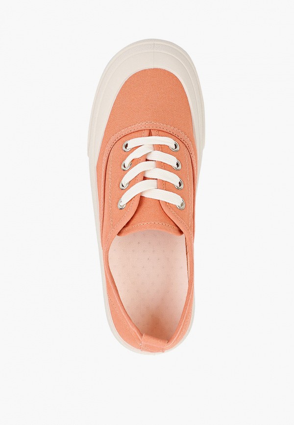 фото Кеды dino albat