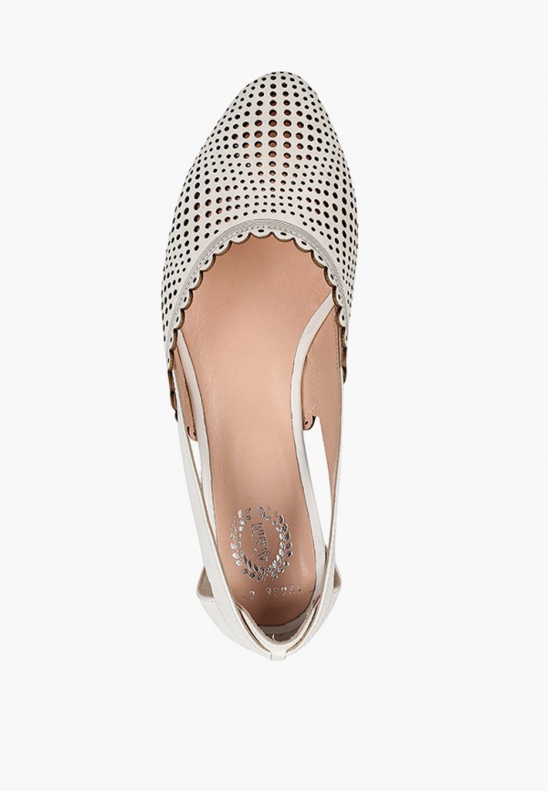 фото Туфли ascalini