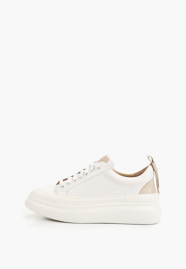 фото Кеды basconi