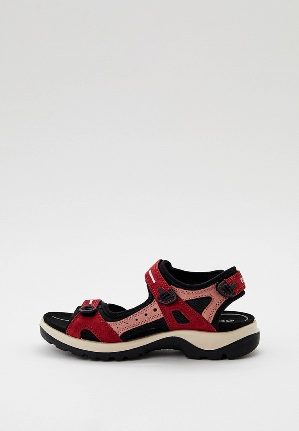 красный красный