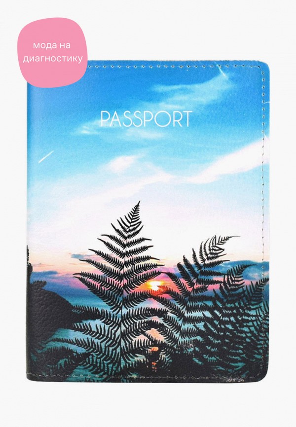 фото Обложка для паспорта bb1