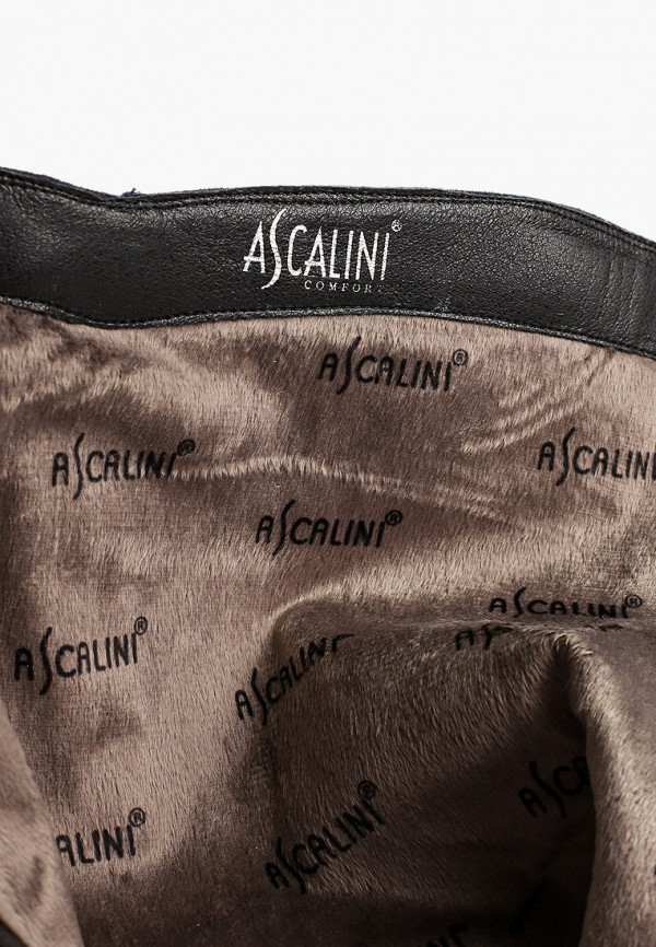 фото Сапоги ascalini