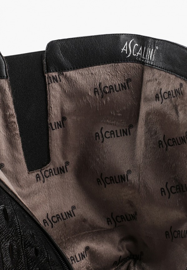 фото Сапоги ascalini
