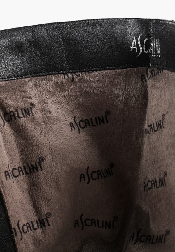 фото Сапоги ascalini