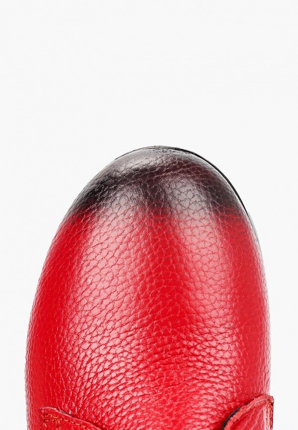 фото Ботинки clovis