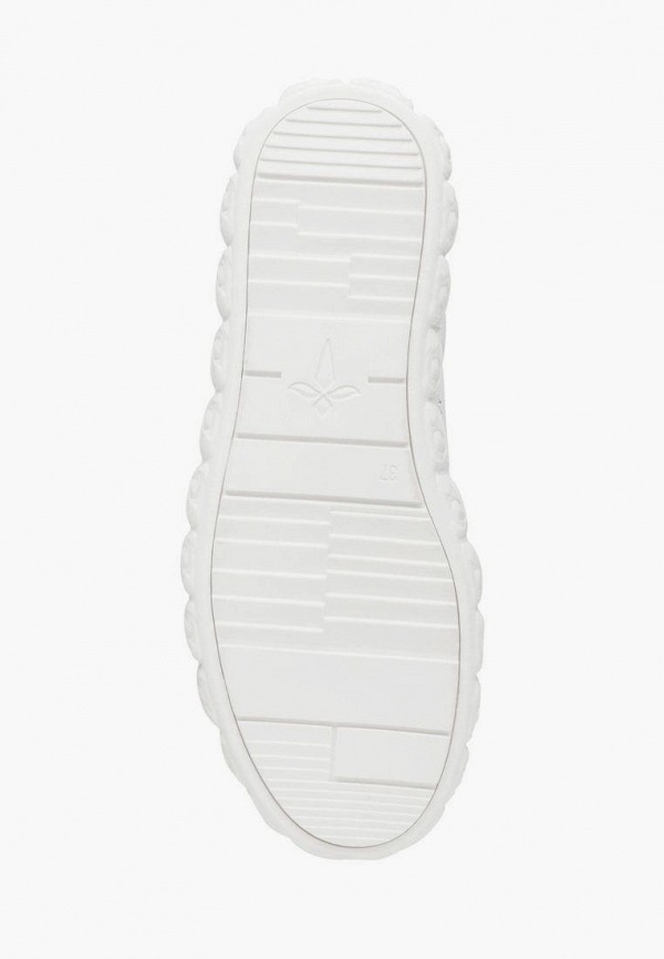 фото Кеды alessio nesca