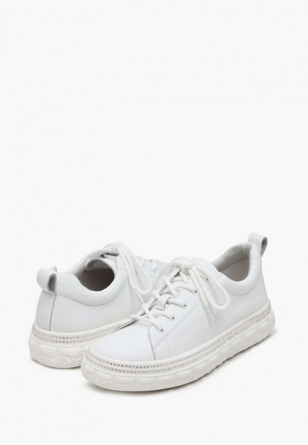 фото Кеды alessio nesca