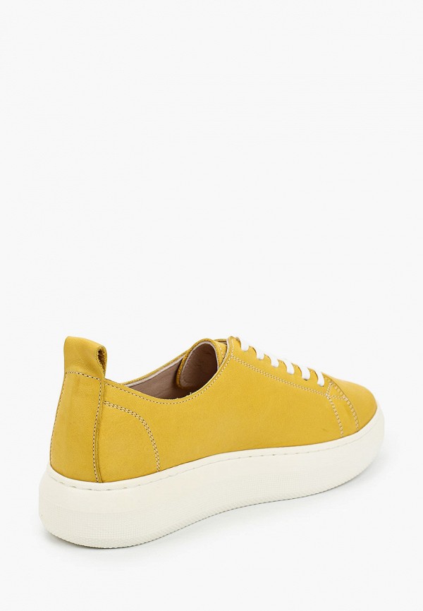 фото Кеды alessio nesca