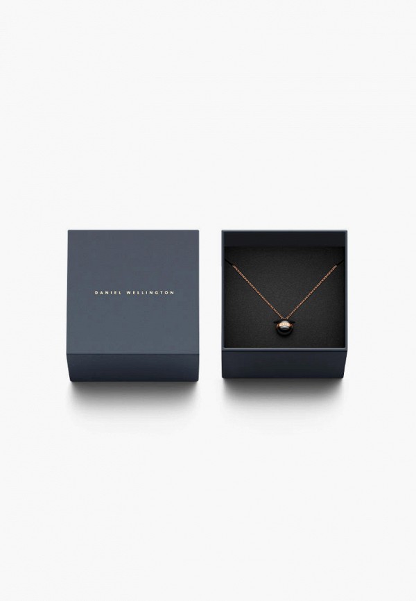 фото Подвеска daniel wellington