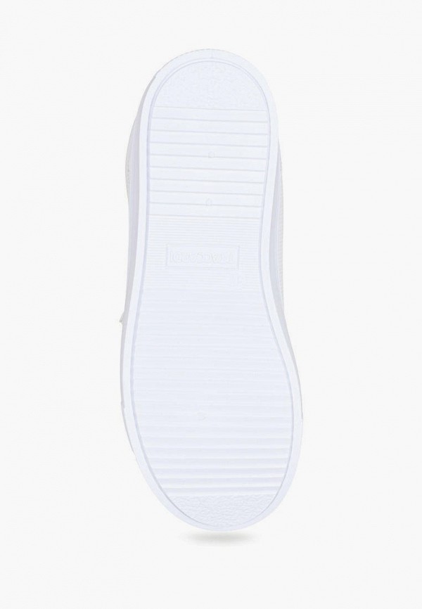 фото Кеды t.taccardi