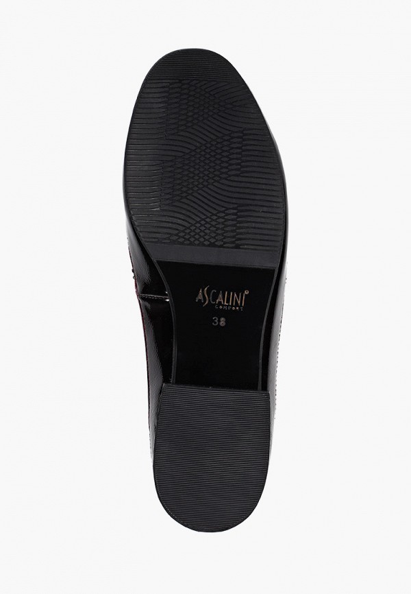 фото Туфли ascalini