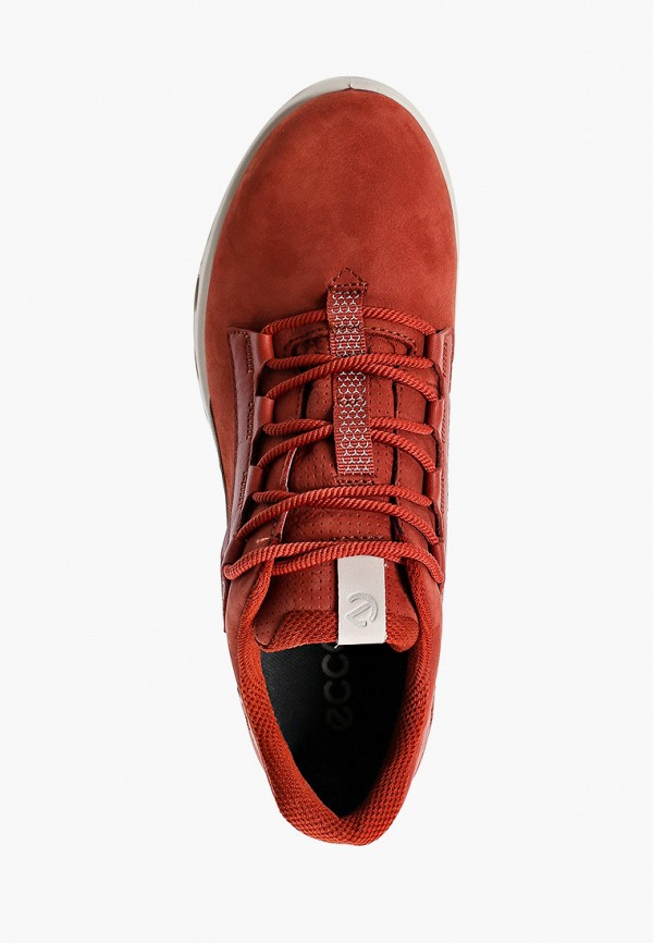 фото Кроссовки ecco