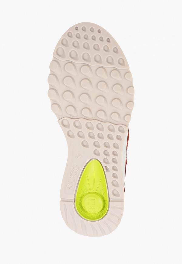 фото Кроссовки ecco