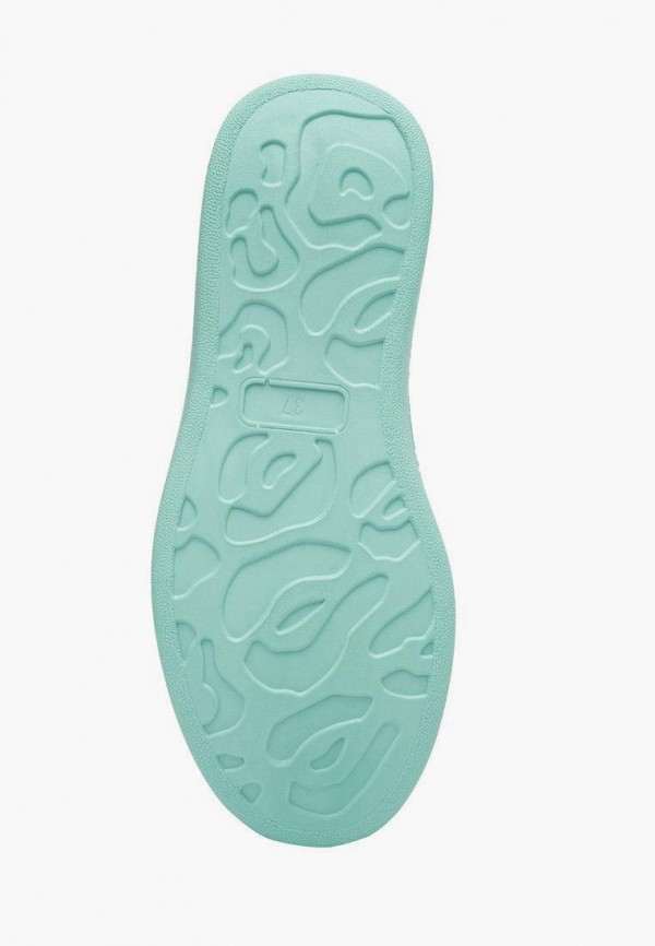 фото Кеды t.taccardi