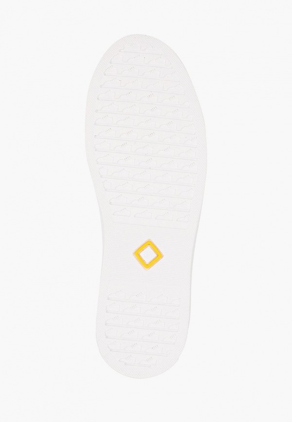 фото Кеды francesco donni