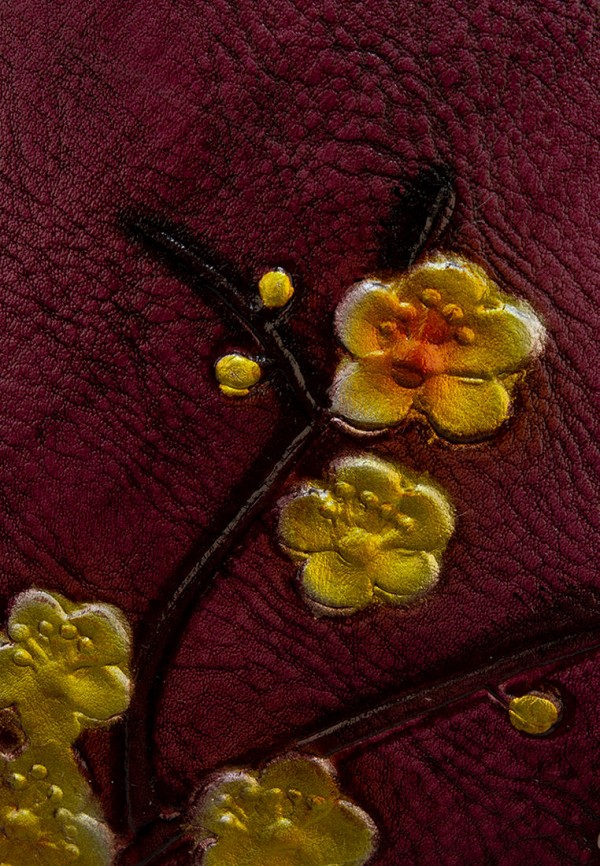 фото Рюкзак laccoma