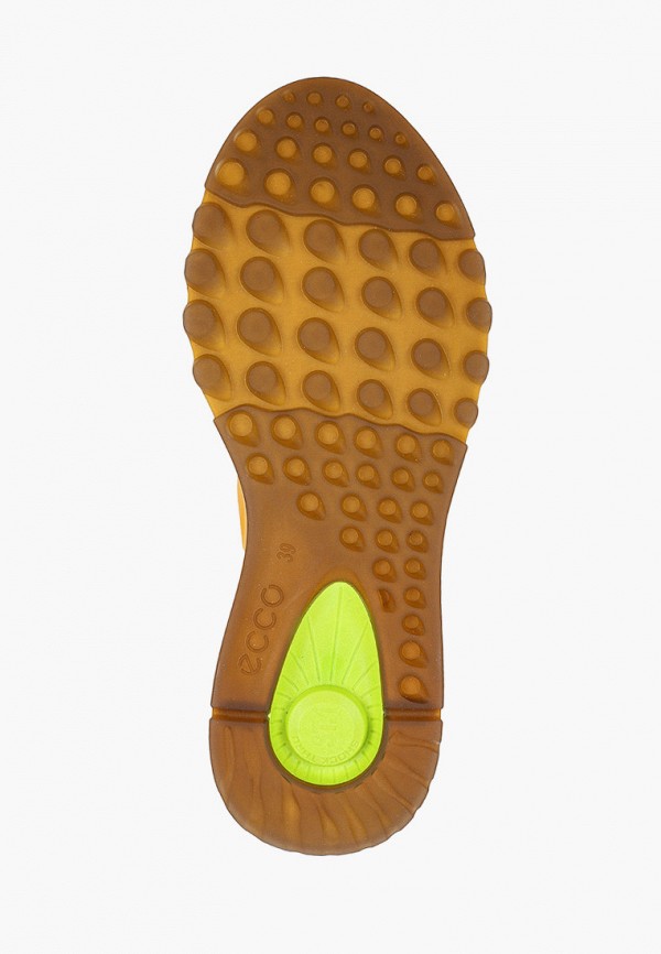 фото Кроссовки ecco