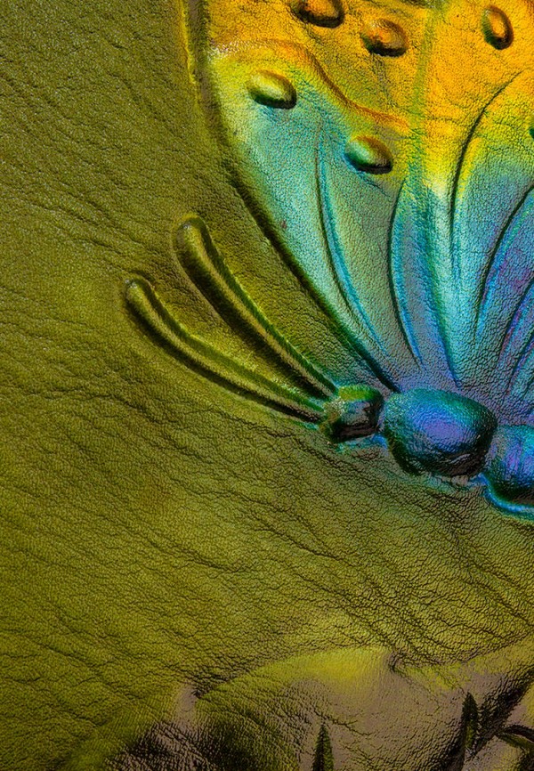 фото Сумка laccoma