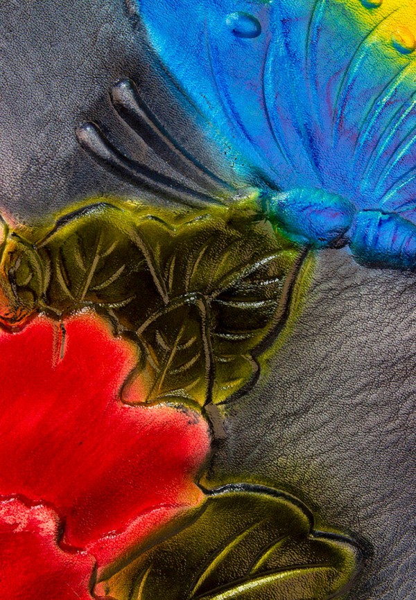 фото Сумка laccoma