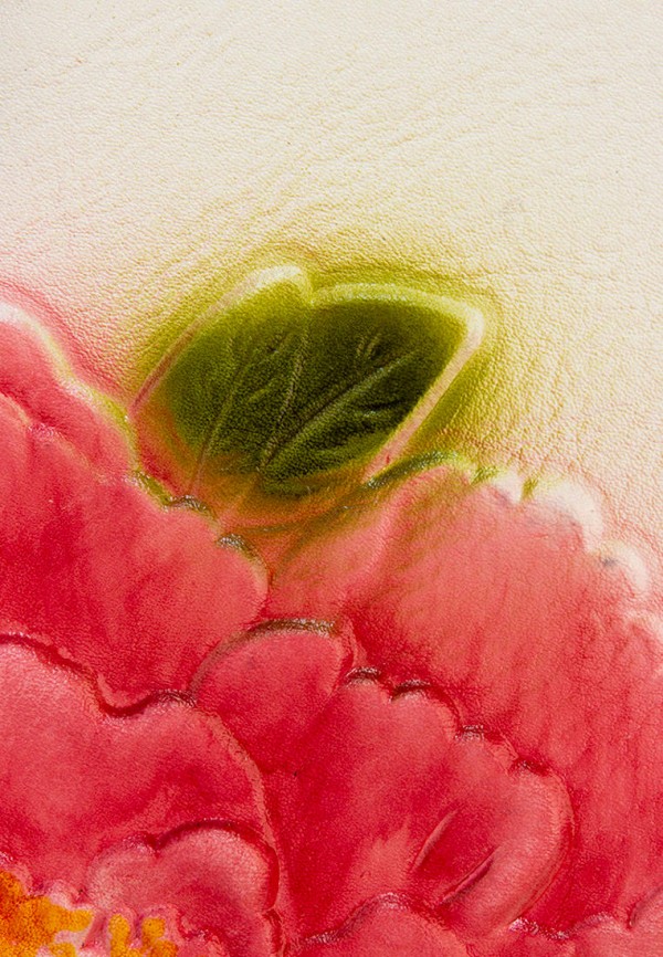 фото Сумка laccoma