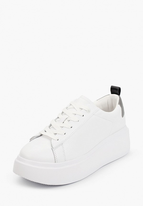 фото Кеды tervolina