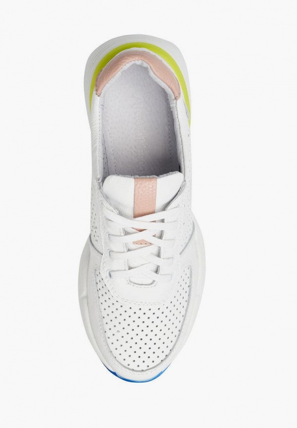 фото Кроссовки alessio nesca