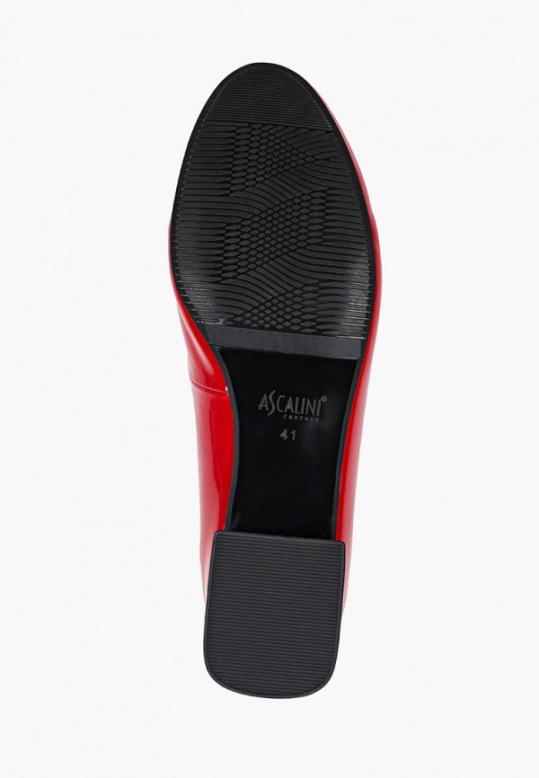 фото Туфли ascalini