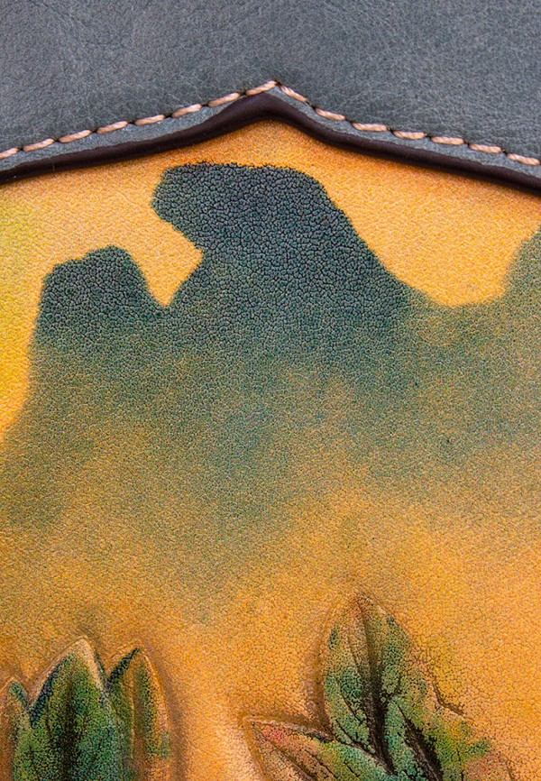 фото Сумка laccoma