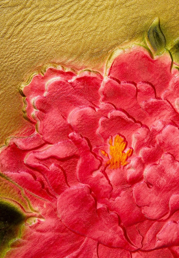 фото Сумка laccoma