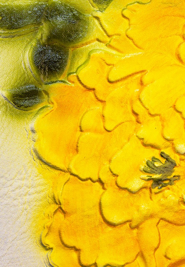 фото Сумка laccoma