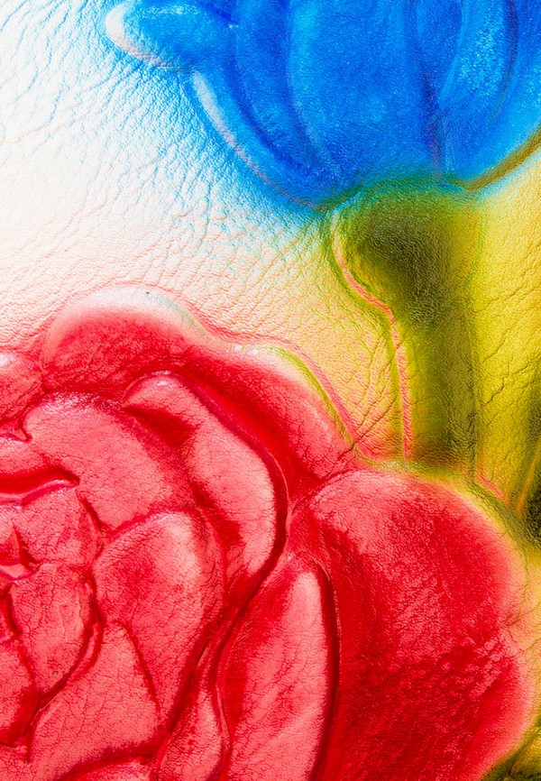 фото Сумка laccoma