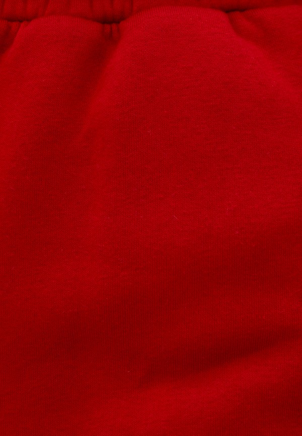 фото Брюки спортивные algorythm