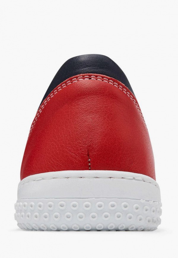 фото Кеды alessio nesca