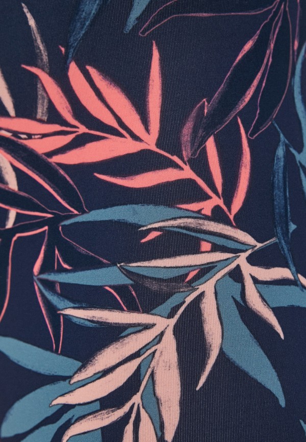 фото Тайтсы termit