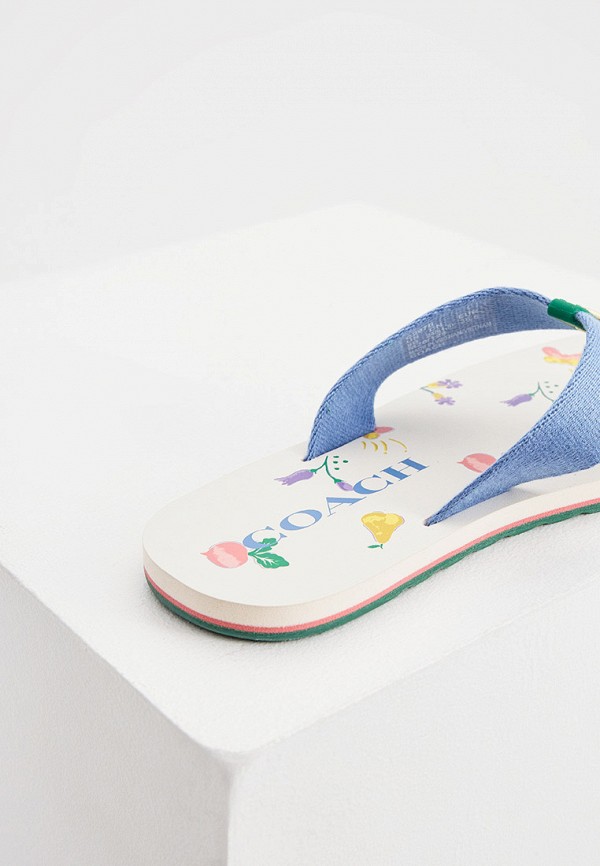 фото Сланцы coach