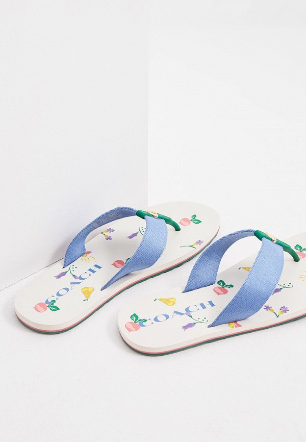 фото Сланцы coach