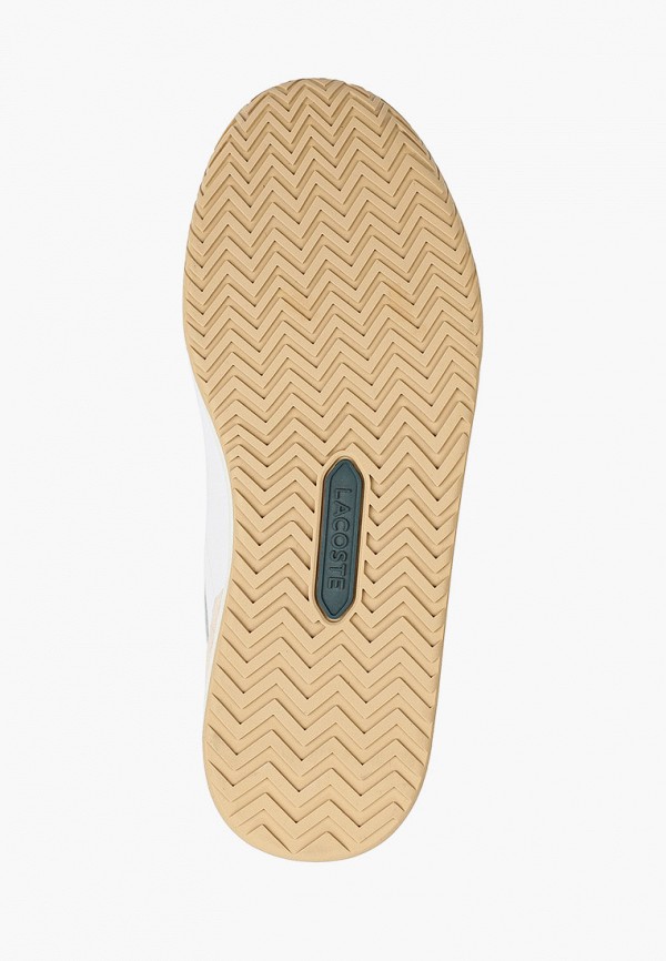 фото Кеды lacoste