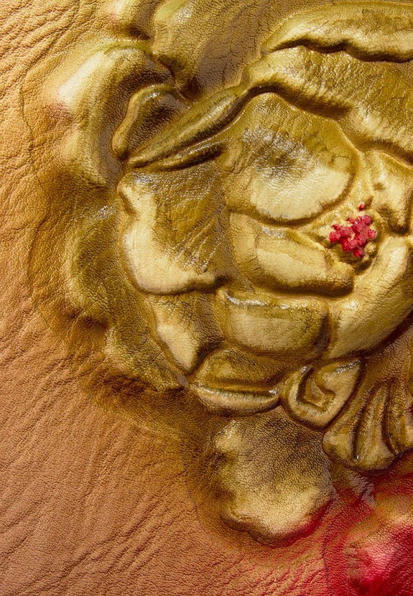 фото Сумка laccoma