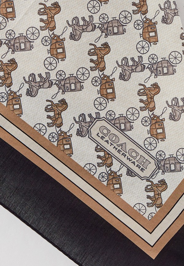 фото Платок coach