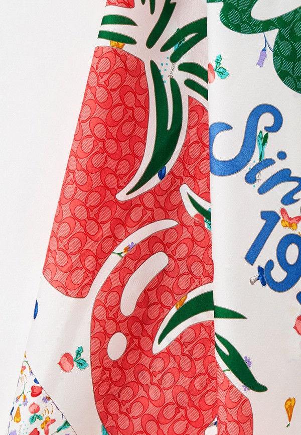 фото Платок coach