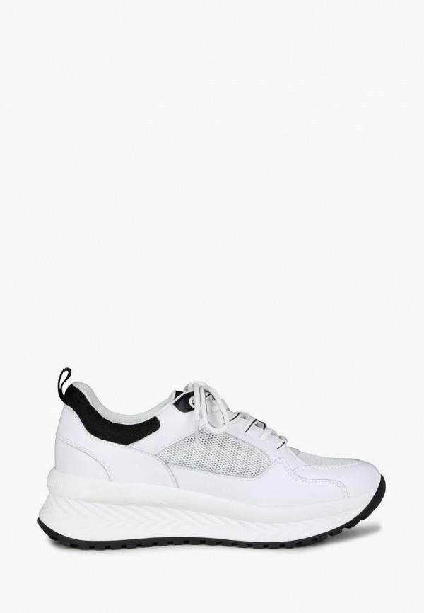 фото Кроссовки pierre cardin