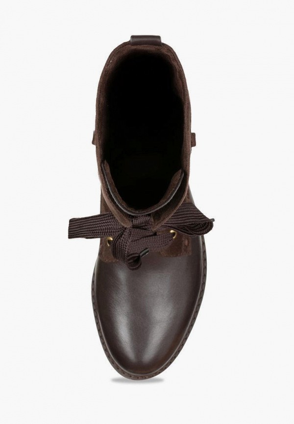 фото Сапоги t.taccardi