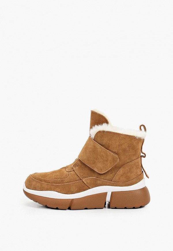 фото Ботинки vitacci