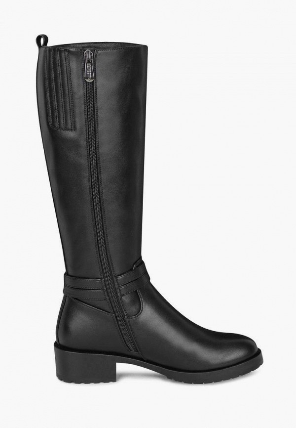 фото Сапоги t.taccardi