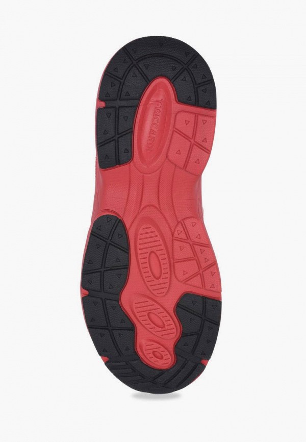 фото Кроссовки t.taccardi